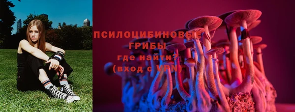 дживик Майский
