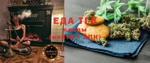 шишки Магас